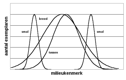 Verschillende typen van tolerantie