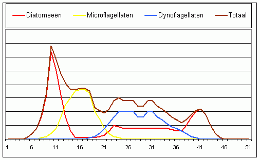 algensuccessie in de Noordzee