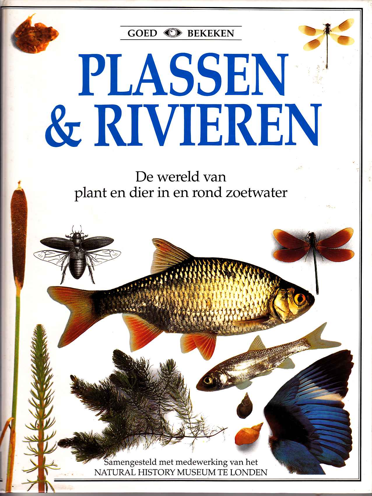 Plassen & rivieren (Parker)